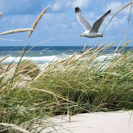 In Het Zoute Near Zeedijk Promenade Villa Knokke-Heist